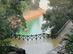 -广州市流溪河国家森林公园