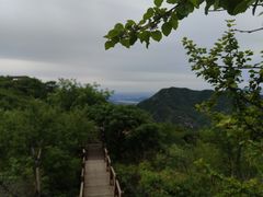 -大岭沟猕猴桃谷风景区