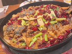 -老板恋上鱼(印象城店)