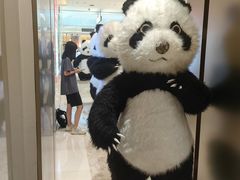 -东莞松山湖万象汇