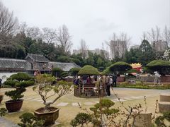 -水绘园