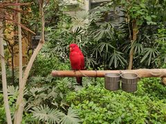-南宫五洲植物乐园