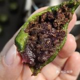 春天搬上娃餐桌！清明必做青团，宝宝一个接一个