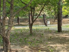 -玲珑塔公园