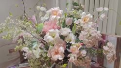 -薇薇安花系SPA