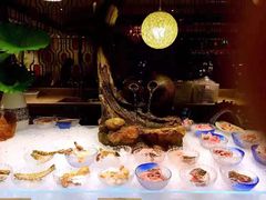 -半岛翡丽海鲜自助餐厅(观风亭店)