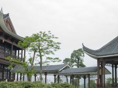 -飞来湖湿地公园