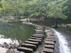 -阿哈湖国家湿地公园