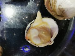 -鲜鲜·鲅鱼圈海鲜(于洪店)
