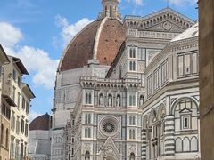 -圣母百花大教堂穹顶