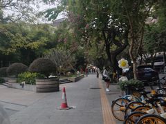 -垂虹公园