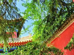 -西安市广仁寺