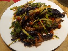 -杨氏青龙虾·羊蝎子(金盛路总店)