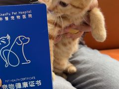 -申普宠物医院·眼科·心内科·影像科(普陀分院)