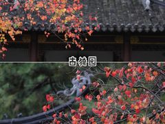 -南翔古镇