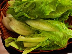 -蘑统田下·野生菌火锅