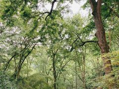 -乐山市博物馆