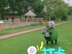 -昆山城市生态森林公园