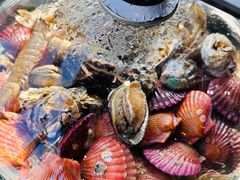 -巧克力渔家.小船海鲜胶东菜(万平口店)