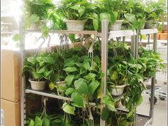 -宜家家居(哈尔滨商场店)