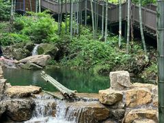 -宜兴龙背山森林公园