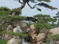 -罗红摄影艺术馆