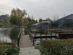 -成飞公园