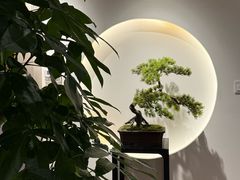 -席仁堂推拿按摩脊柱调理(世纪科贸大厦店)