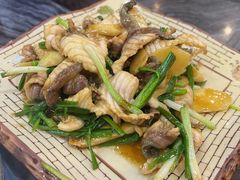 -鸽鸟轩(石岐店)