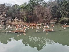 -宁波野生动物园
