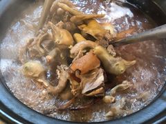 -一煲鸽