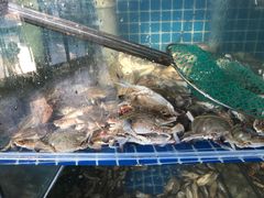 -蟹谢蒸鲜自助餐厅