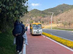 -东钱湖小普陀景区