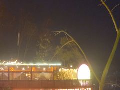 -巴倒烫陆派重庆火锅(南山店)