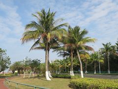 -白沙门生态公园