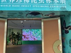 -烟台市博物馆