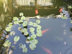 -凤凰山斑鱼馆(恭城店)