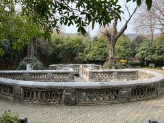 -习家池