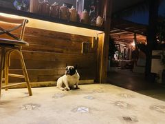 -悦哉·派对·草坪婚礼·围炉煮茶(三圣乡店)