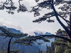-黄山风景区
