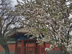-北京古代建筑博物馆