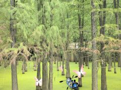 -青山湖景区