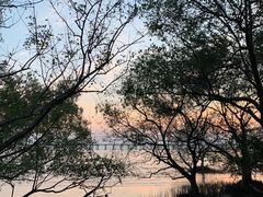 -宝安西湾红树林湿地公园