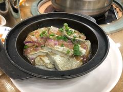豆腐-红日饭店(裕隆三路店)