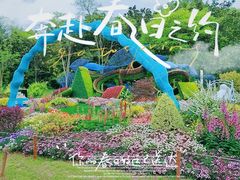 -上海共青森林公园