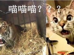 -泰熙家(侨城坊QPlex店)