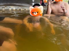 -三江森林温泉度假区