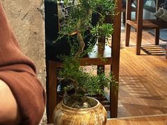-真打拉面·日式拉面新流派(体育西横街店)