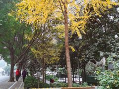 -重庆彩云湖湿地公园