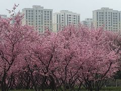 -白塘生态植物园